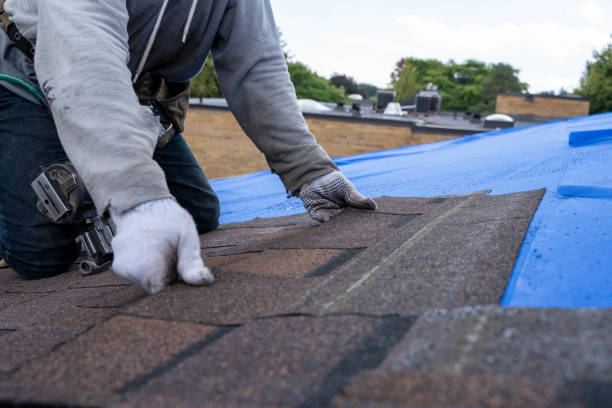 Best Roof Replacement Cost  in Verona, MS