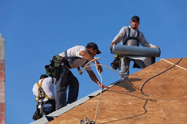 Best Local Roofing Companies  in Verona, MS