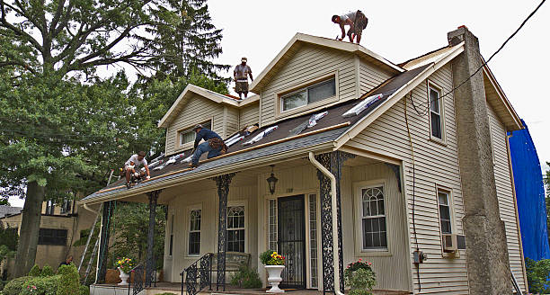 Best Roof Inspection Near Me  in Verona, MS