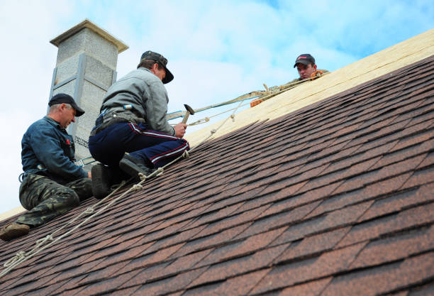 Best Shingle Roofing Installation  in Verona, MS